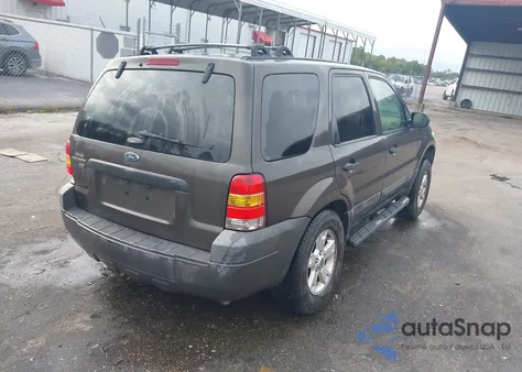 2007 Ford Escape Xlt z USA, uszkodzony, nr VIN 1FMYU03ZX7KB25972